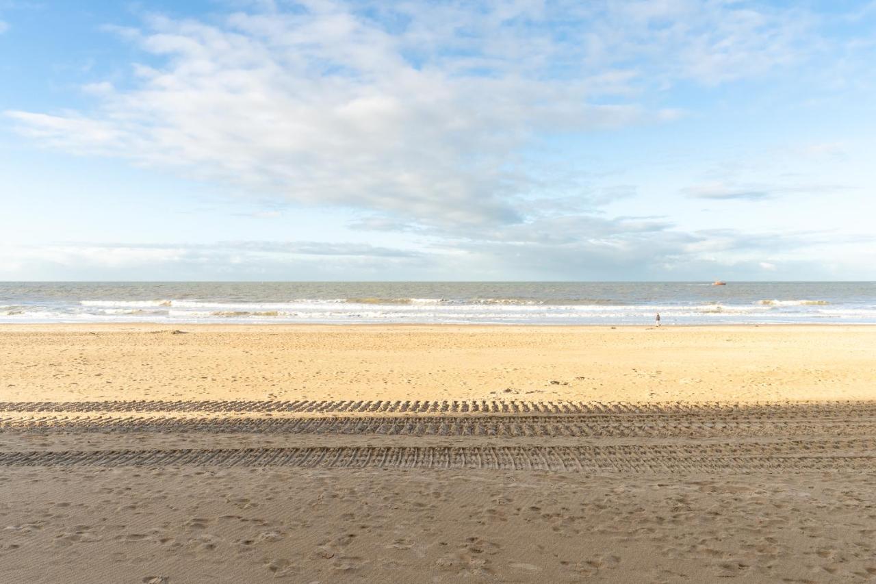 Dijk - Puur * Ostende